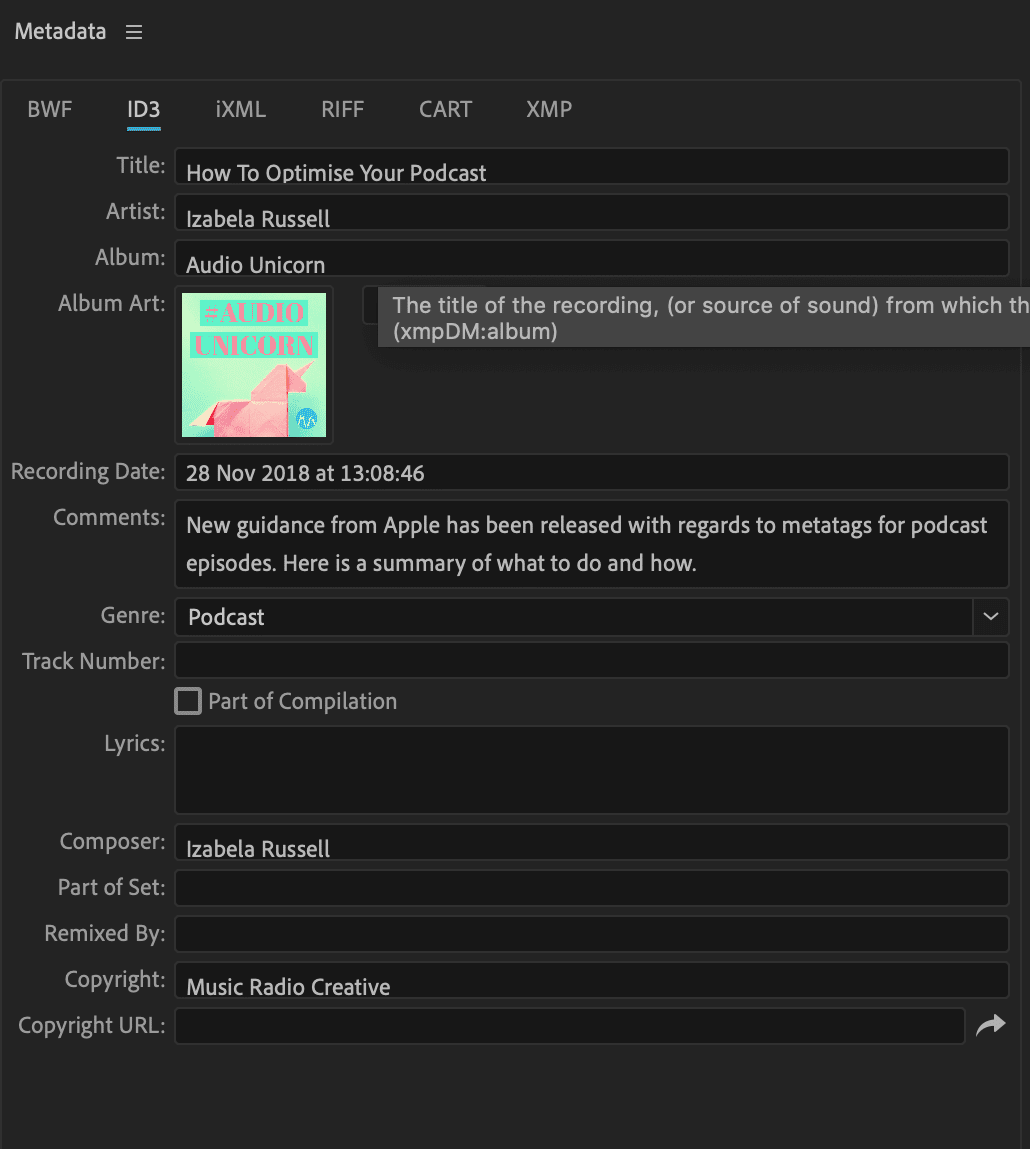 How to Optimize Your Podcast Metadata - Detailed Explanation