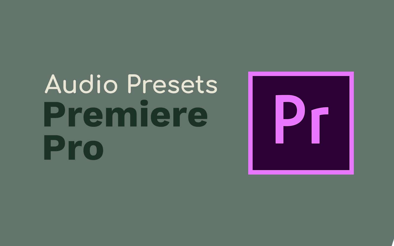 adobe premiere pro presets download