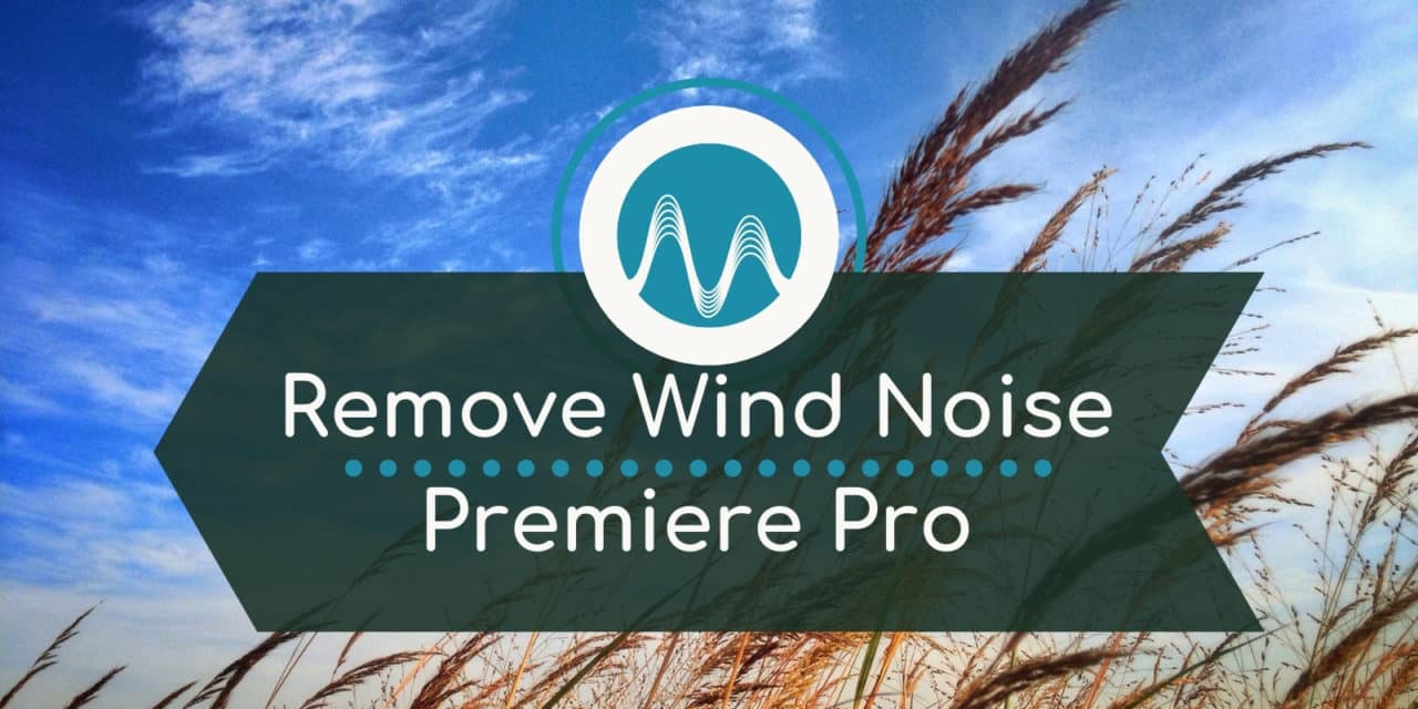 How to Remove Wind Noise in Premiere Pro