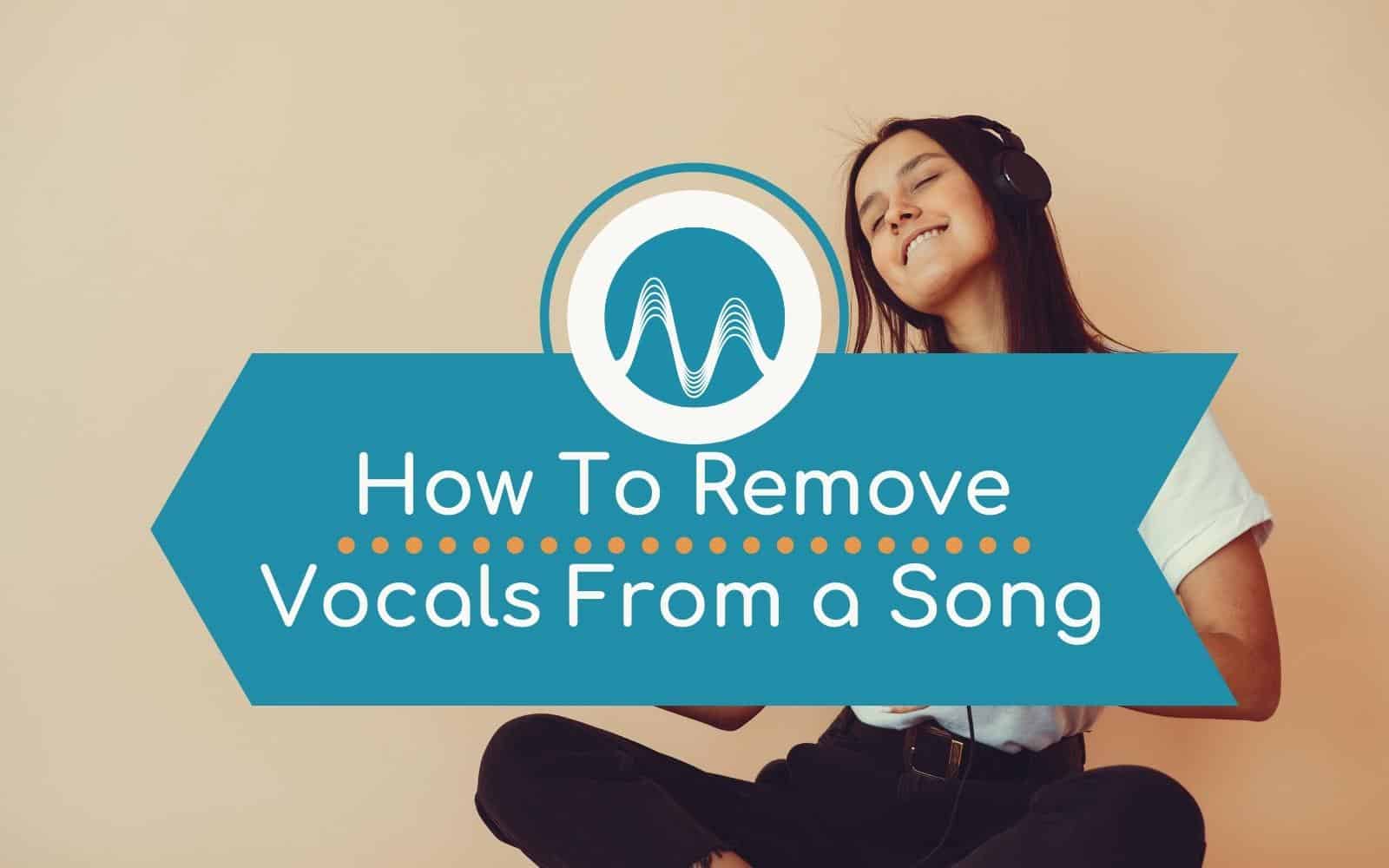 Removing vocals from on sale a song