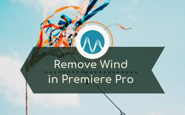How to Quickly Remove Wind Noise with Premiere Pro (2022)