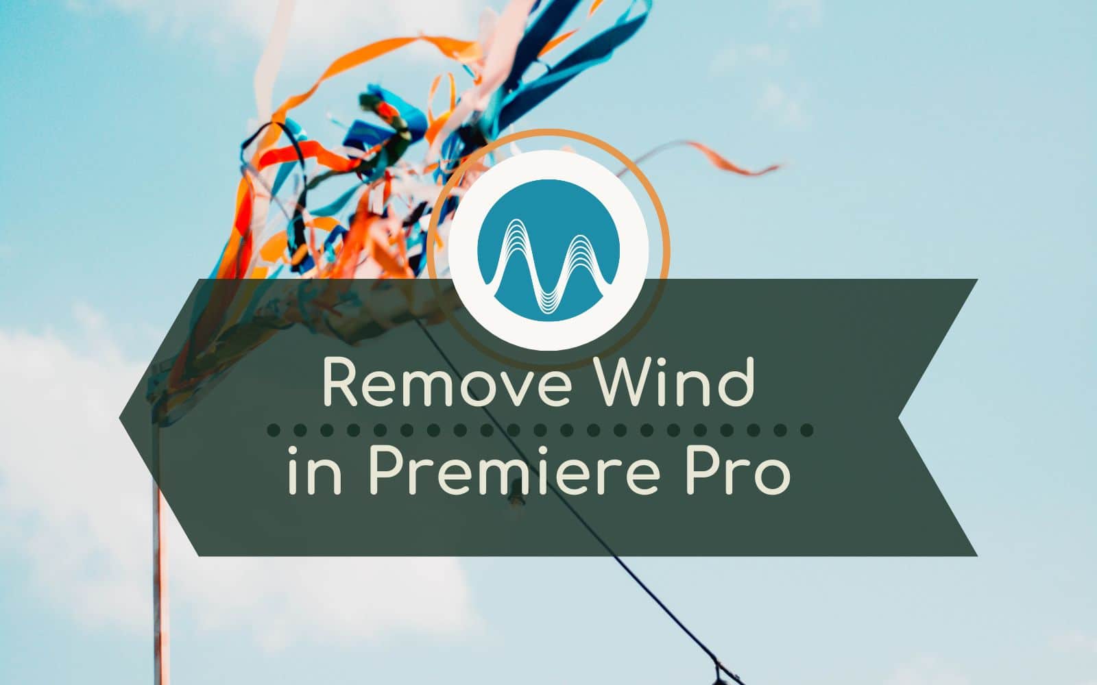 How To Quickly Remove Wind Noise With Premiere Pro