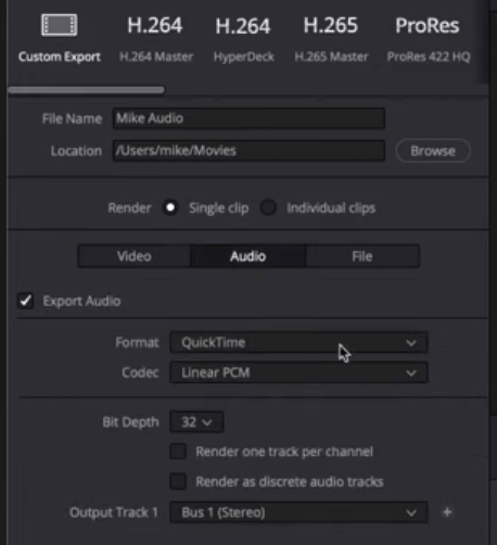 How To Use Davinci Resolve To Record Audio