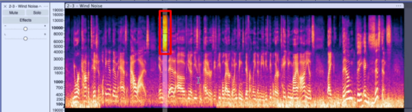 Audacity's Secret Tool - Spectral Editing Magic