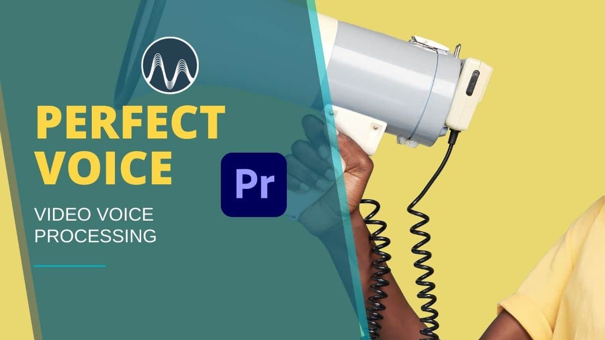 Perfect Voice In Your Video - Premiere Pro Tutorial